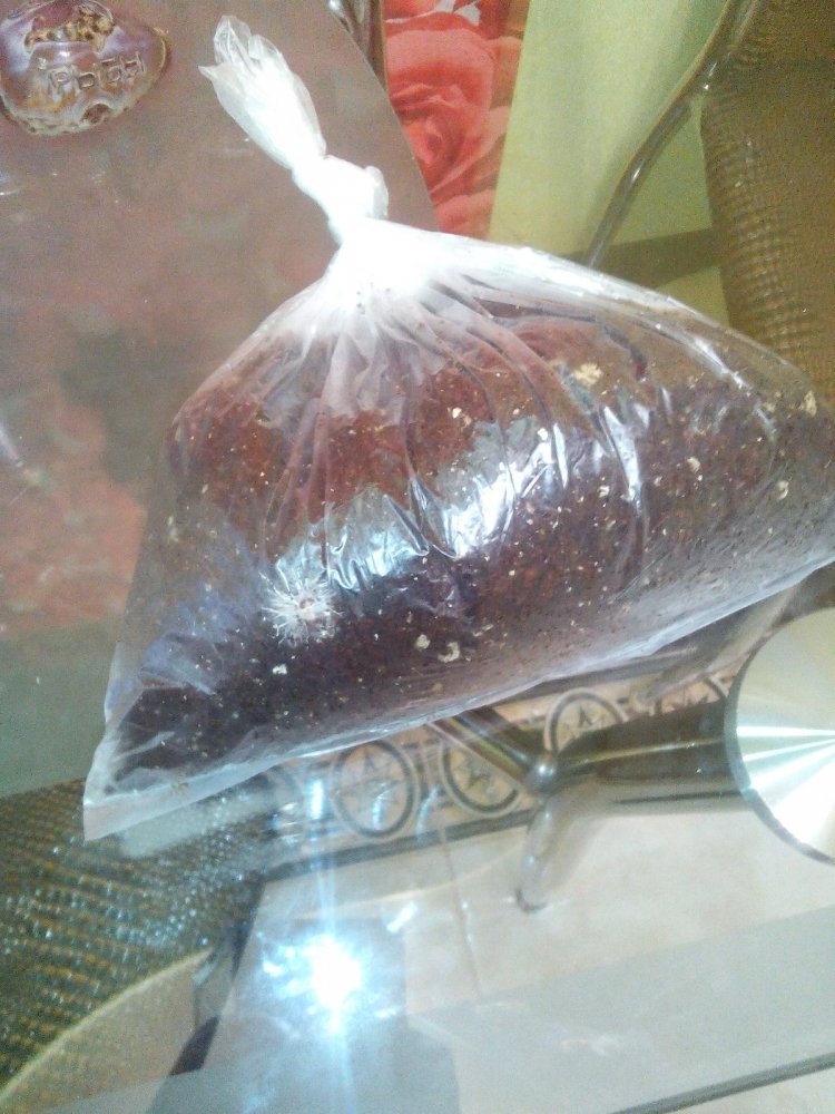 post-34080-0-42556900-1455811397_thumb.j