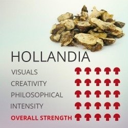 post-40014-0-02387900-1490994278_thumb.j