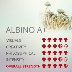 post-40014-0-46693300-1490994062_thumb.j