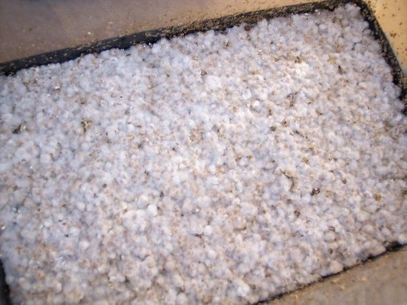 post-40014-0-49802700-1490738081_thumb.j