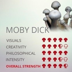 post-40014-0-58000400-1490994064_thumb.j