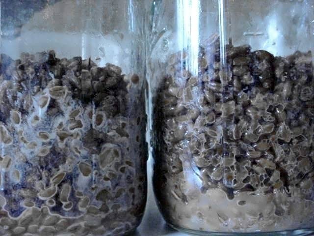 post-24752-0-31058300-1463075693_thumb.j