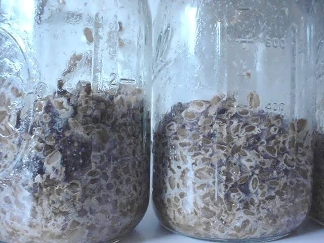 post-24752-0-71205700-1463075694_thumb.j