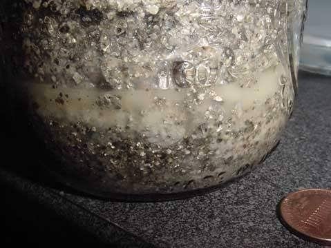 post-24752-0-87263300-1463075695_thumb.j