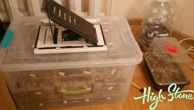 medium.2.jpg.51c81b64660001a0ffedb3dabc0