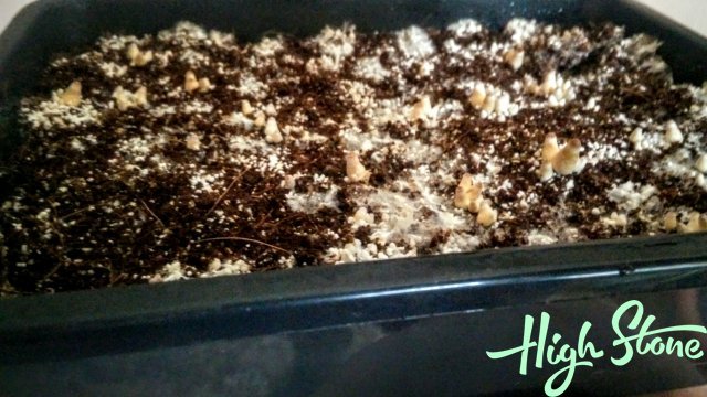 medium.6.jpg.90bfe660c9f51b02425cdf973bd