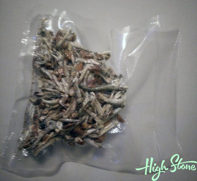 medium_13.jpg.8ec9b841f43bf63563013486f0