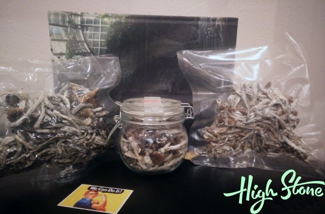 medium_14.jpg.34df62ba3f6a32f8abdb06f371