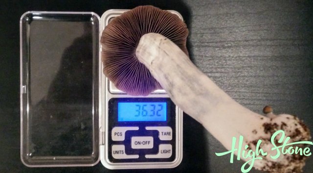 medium_17.jpg.87334c8f0a26ac1db35c056896