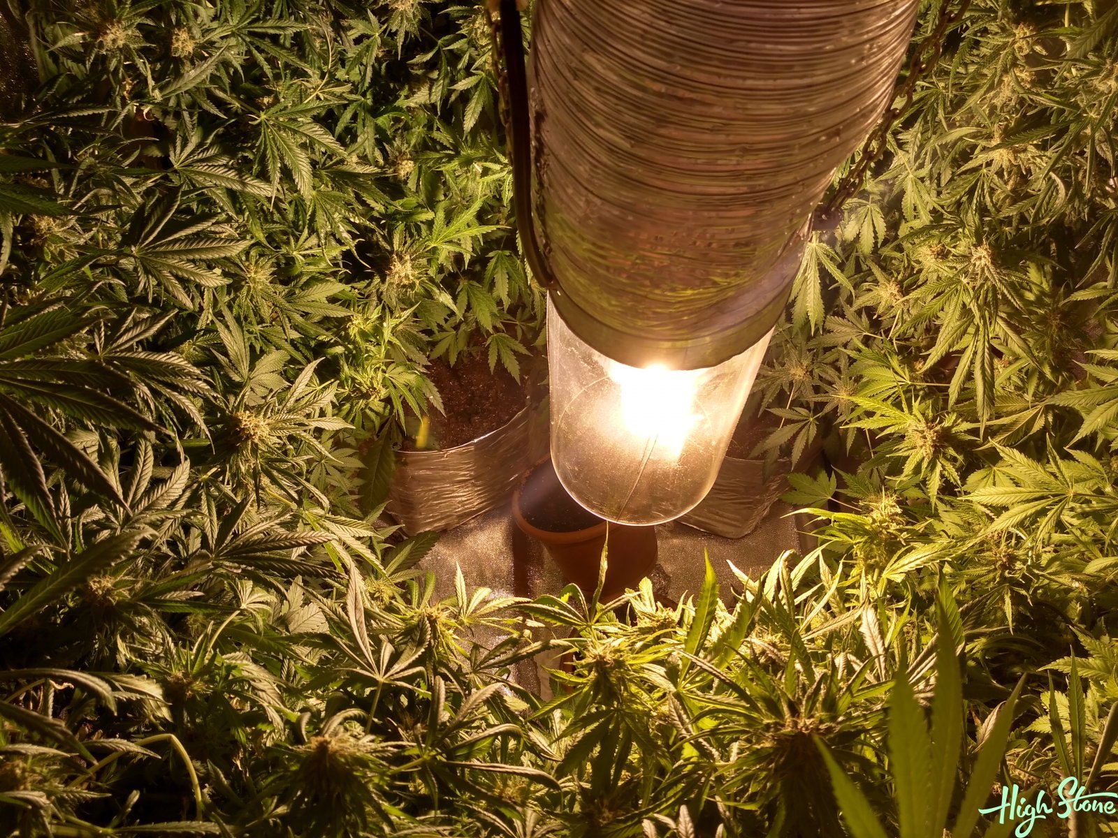 large.5b0c31b1257c1_1(2).jpg.4e507f47ea0