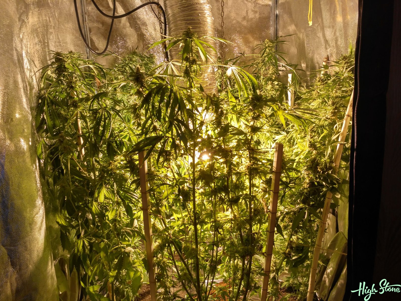 large.5b0c31b65a435_1(8).jpg.972ad9a0384