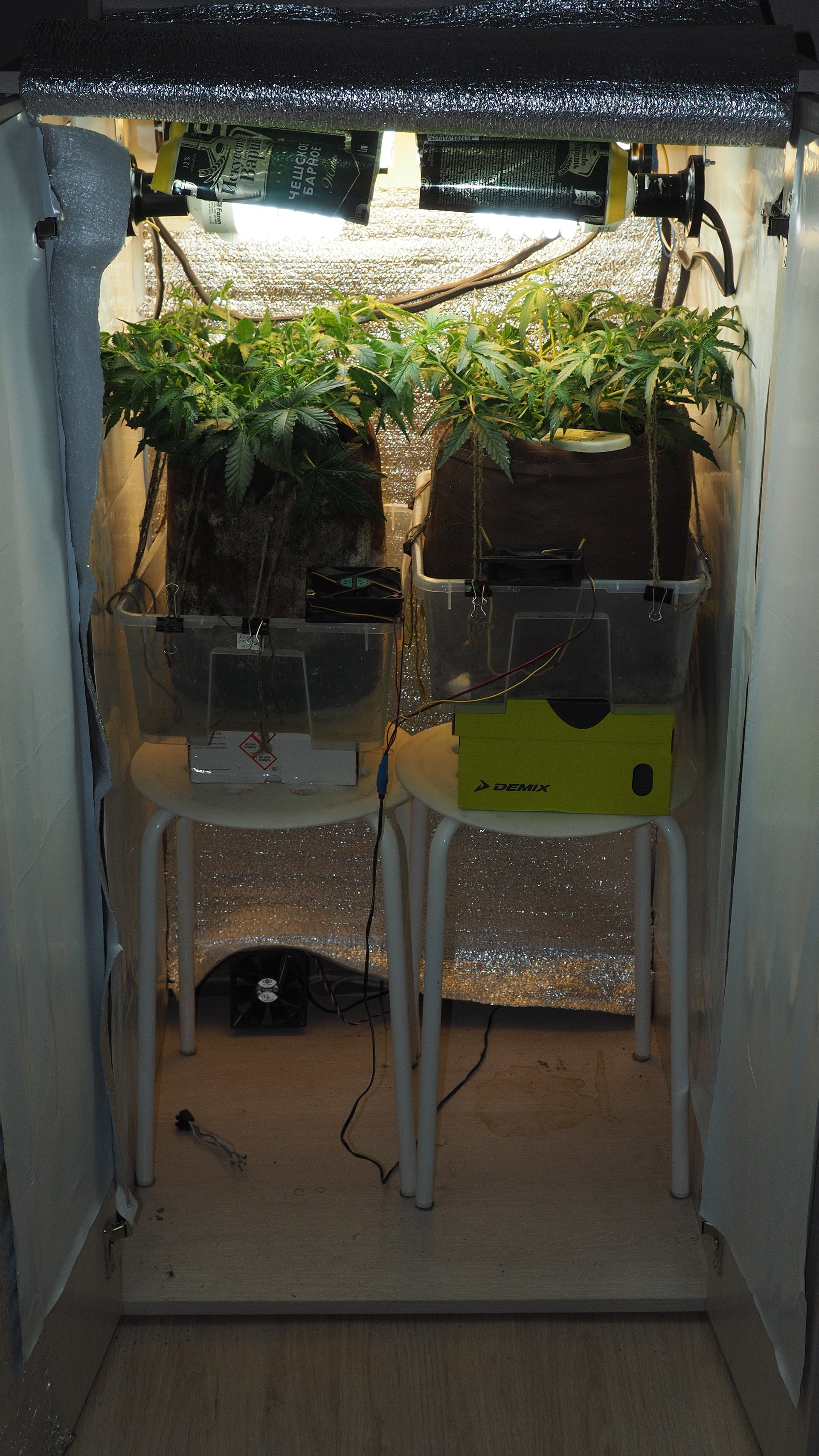 PA290030.JPG.304a5858bf0663e5d1f3d9e763e