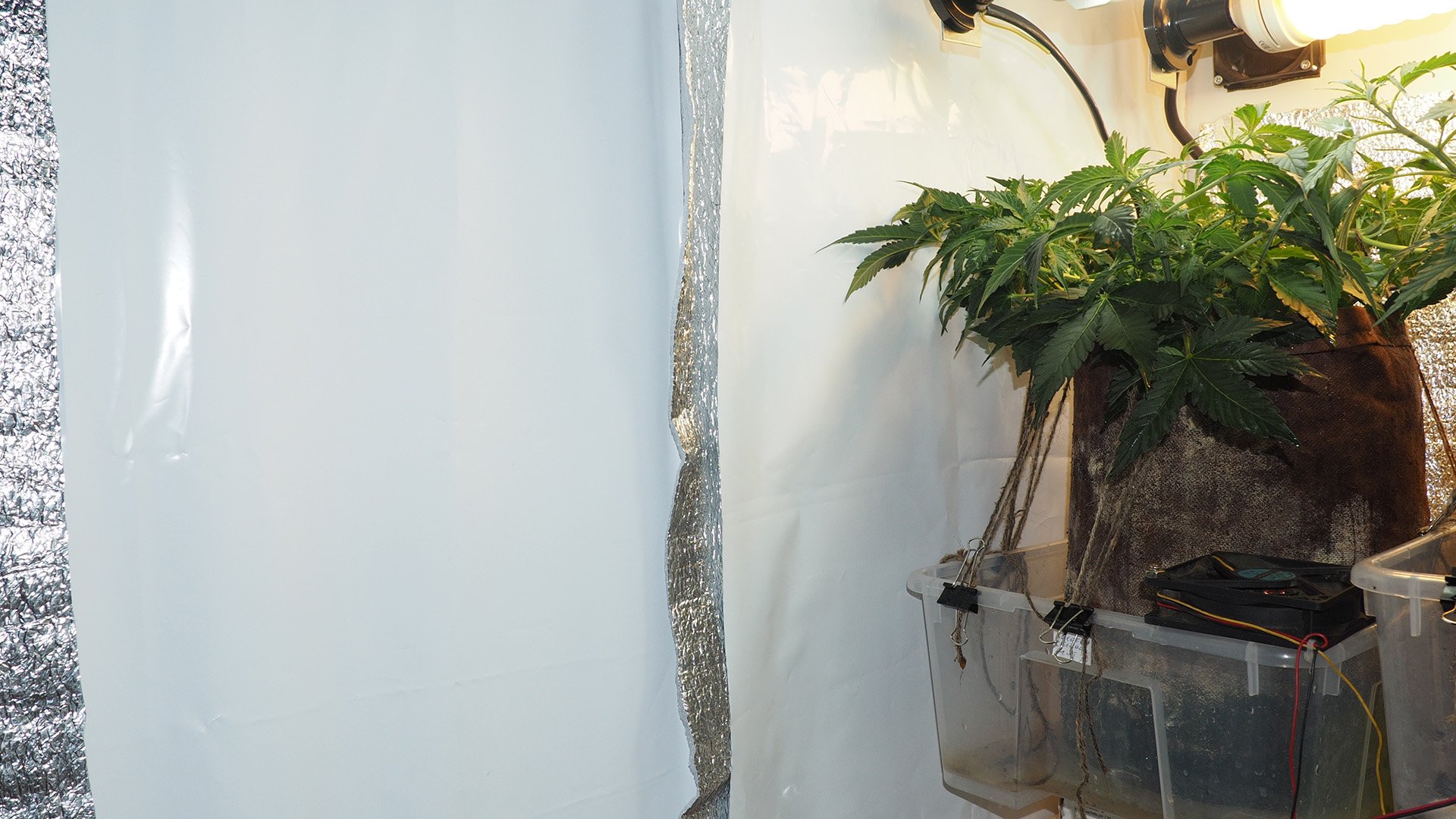 PA290031.JPG.61ae8198b7aa3d50a2c8a4eac60