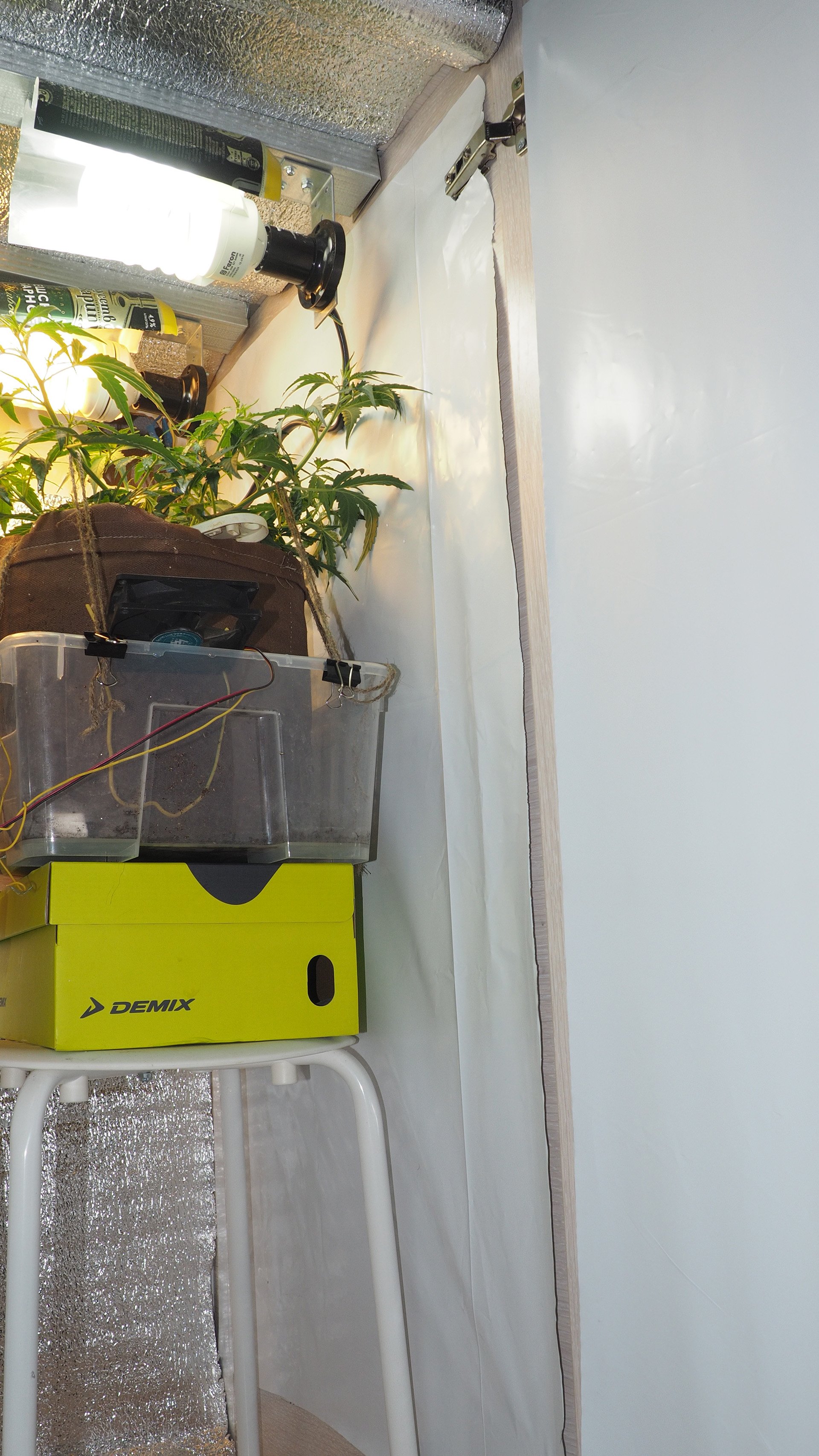 PA290032.JPG.77ef819b1bbe824074b0d6ea1ec