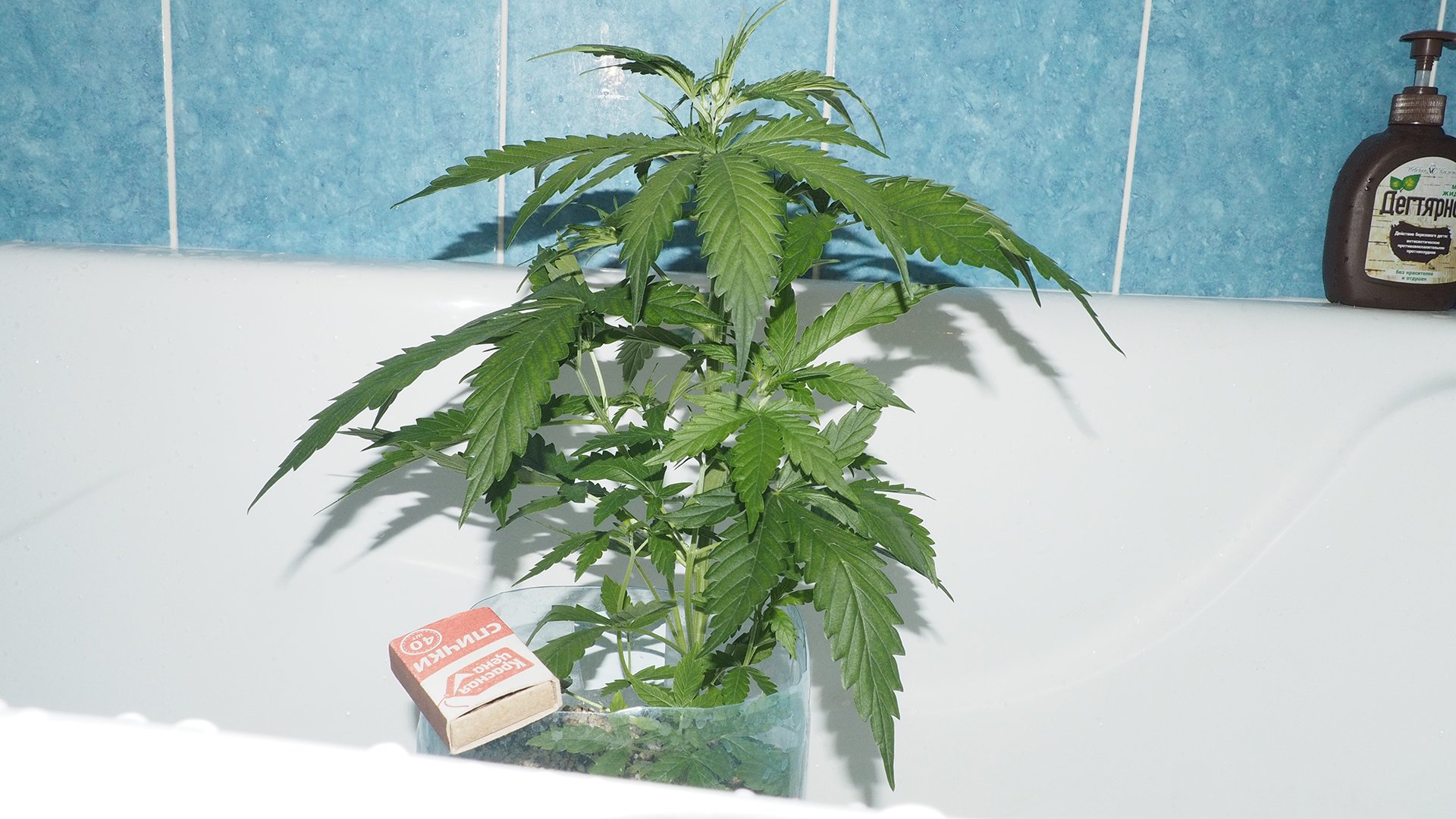 1356960465_.JPG.ffc6ac5f07cbcb94f8e379fd