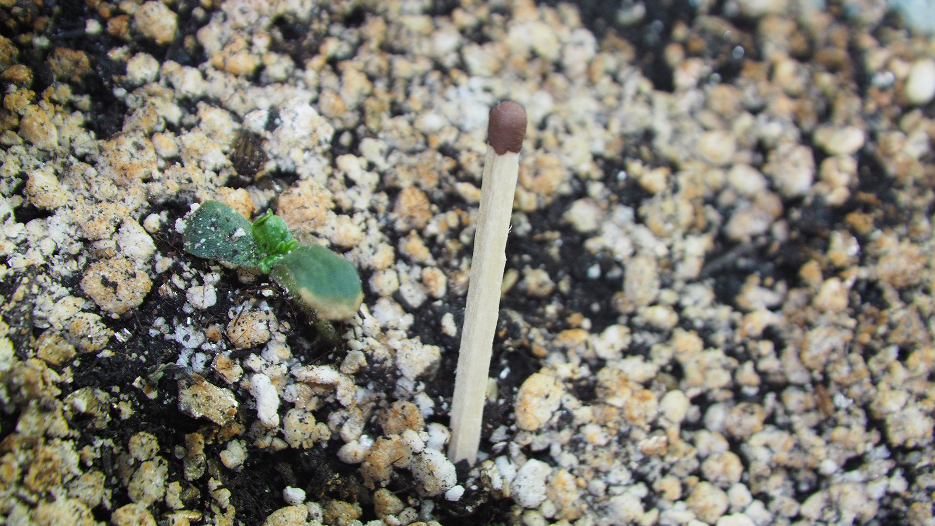 1972068236_.JPG.21325b776c9ff8d9f123ddc8