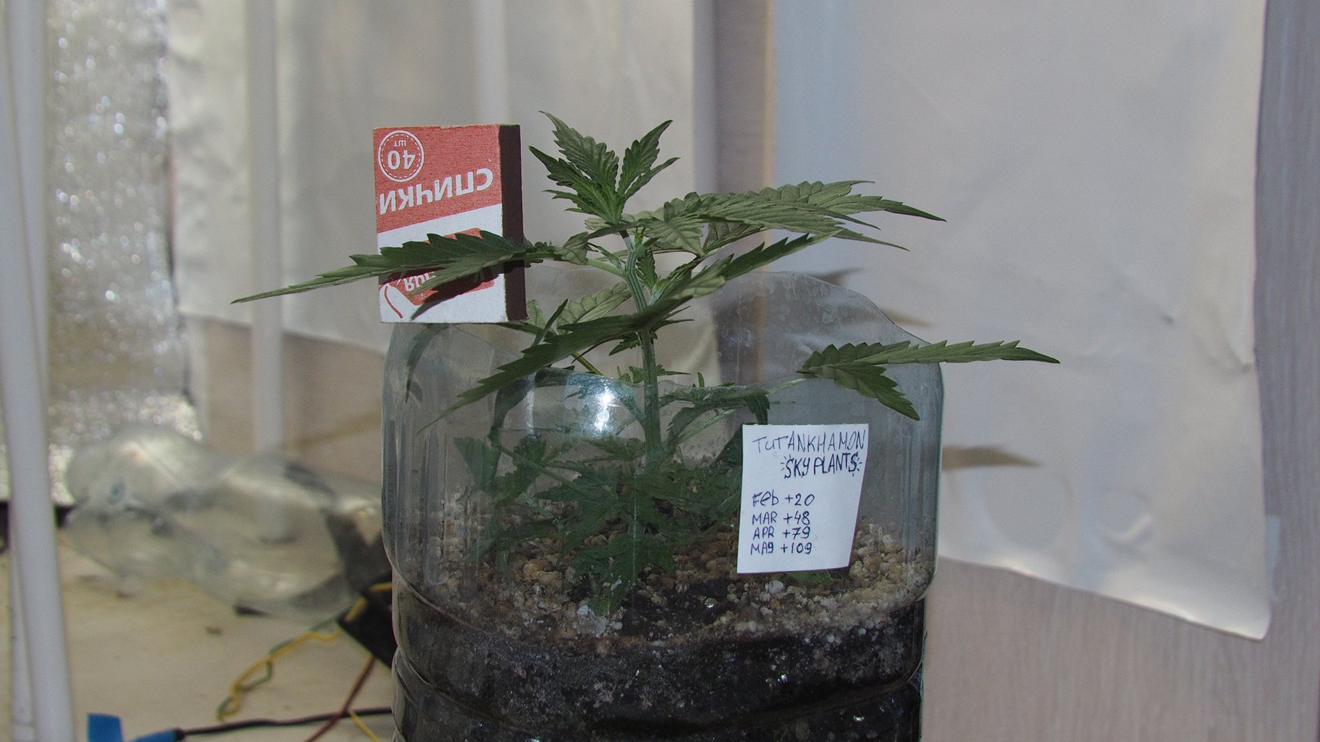 500711960_.JPG.0638c85a43e688f6dd43bd72f