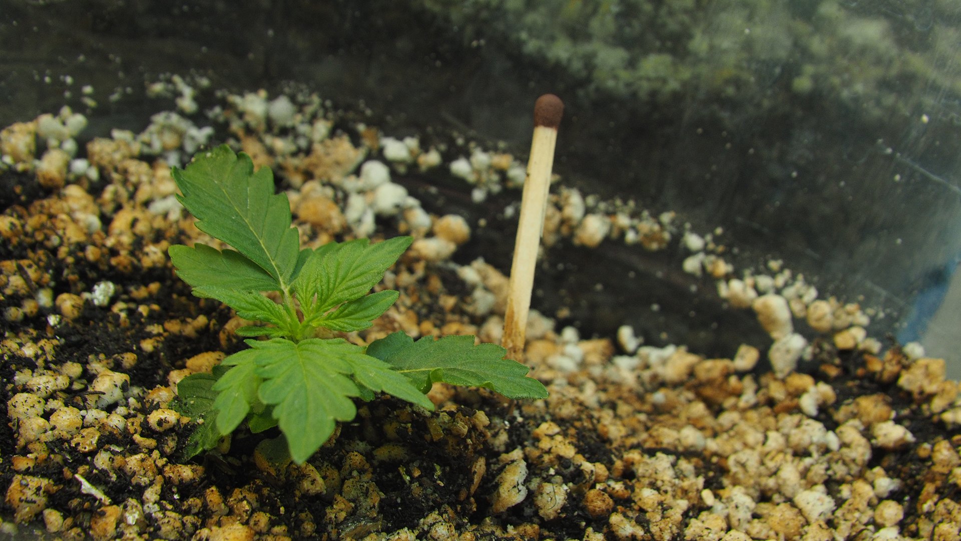 752221611_.JPG.3c392f836448c8f5e7d2f6d53