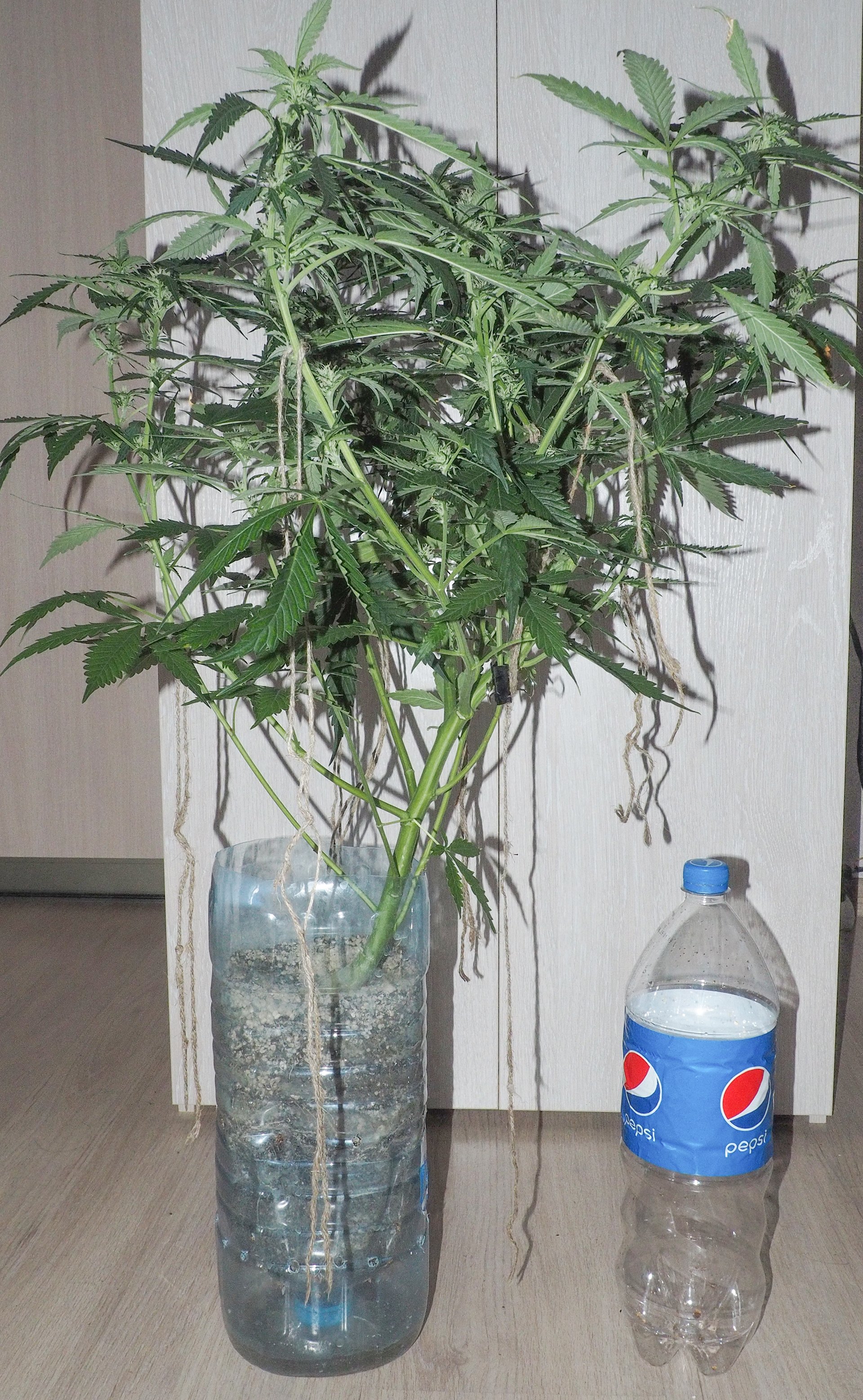 771511316_-(74).JPG.e31fb0920ad5835e129f