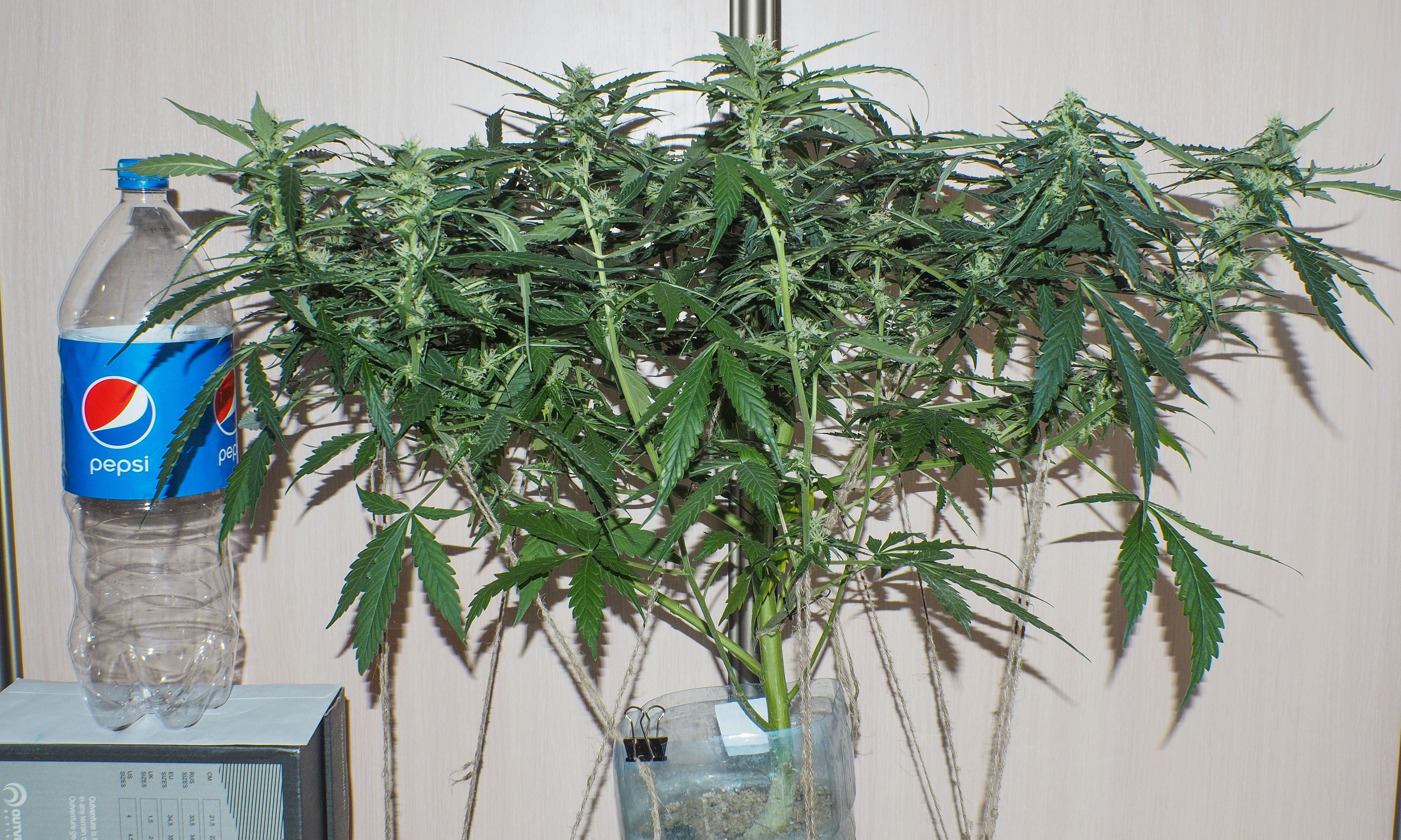 4807412_2(83).JPG.3572619387b299cb1753a8