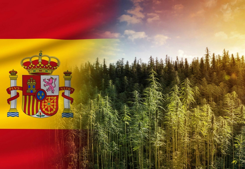 Испания марихуану купить семя марихуаны почтой
