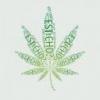 Discovery марихуана в законе купить наркотики брянск